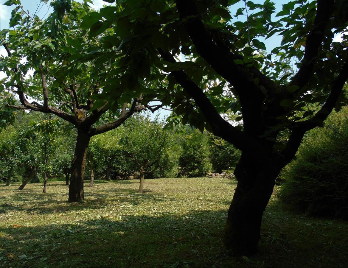 Cascina Cavalli Astino Βίλα Μπέργκαμο Εξωτερικό φωτογραφία